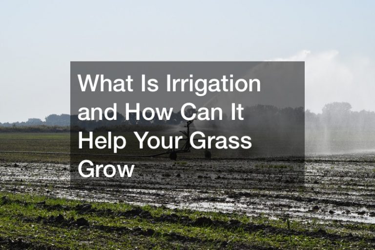 What is Irrigation and How Can It Help Your Grass Grow - Best Self ...